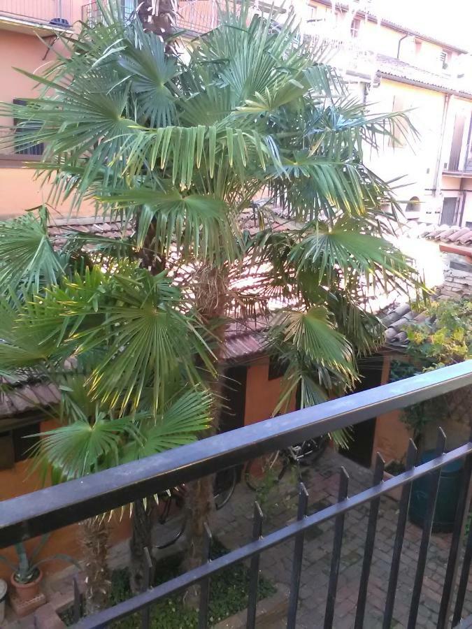 La Culla Apartment Imola Ngoại thất bức ảnh